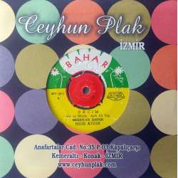 MİHRİCAN BAHAR ve HIDIR AYDIN BACIM  SELLER GÜLÜMÜ KEMİRDİ