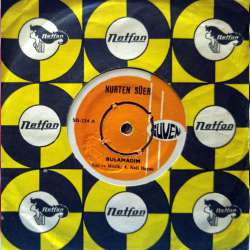 NURTEN SÜER BULAMADIM  SUSUZ BİR ÇÖL GİBİ YANIYOR KALBİM