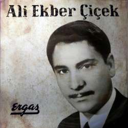 ALİ EKBER ÇİÇEK GÖNÜL GEL SENİNLE MUHABBET EDELİM  DERDİM ÇOKTUR HANGİSİNE YANAYIM