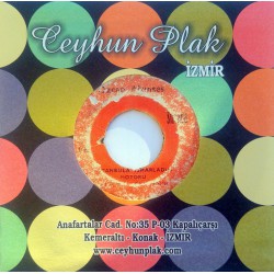 ÖZCAN ALTINSES İSTANBUL' A ISMARLADIM MOTORU ~ BU AŞK MEZARDA BİTER