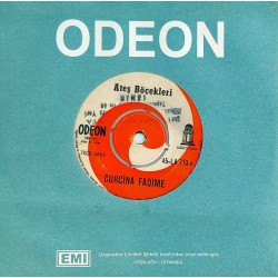 ATEŞ BÖCEKLERİ CURCİNA FADİME ~ LÜKÜS HAYAT, KOMİK PLAK