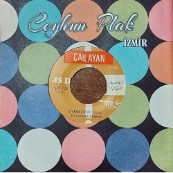 AHMET ÇİÇEK UTANMADIN MI (Gazelli) ~ MÜNECCİM BAŞI DEĞİLEM