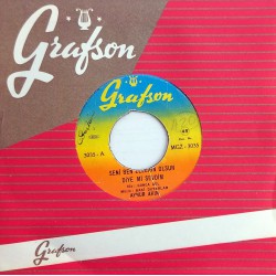 AYNUR AKIN SENİ BEN ELLERİN OLSUN DİYE Mİ SEVDİM ~ BAHÇENİZDE GÜL VAR MI