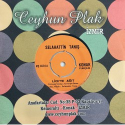 SELAHATTİN TANIŞ LİCE' YE AĞIT ~ AĞLAMA DELİ GÖNÜL