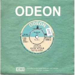 ESİN AFŞAR ZÜHTÜ ~ KAZ