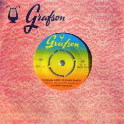 NEZAHAT BAYRAM KEKLİK GİBİ DALDAN DALA  BENDE HER YARADAN VAR