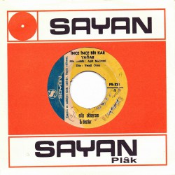 EDİP AKBAYRAM İNCE İNCE BİR KAR YAĞAR ~ DAĞLAR DAĞLADI BENİ