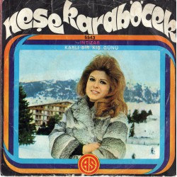 NEŞE KARABÖCEK İNTİZAR ~ KARLI BİR KIŞ GÜNÜ