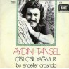 AYDIN TANSEL ÇİSİL ÇİSİL YAĞMUR ~ BU ENGELLER ARASINDA