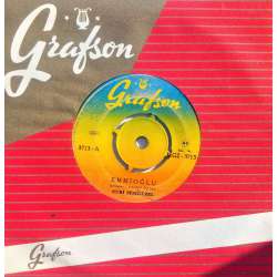 NURİ SESİGÜZEL EMMİOĞLU  HAM MEYVAYI KOPARDILAR DALINDAN