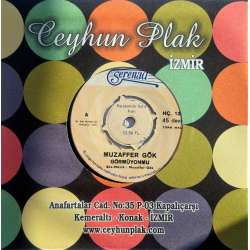 MUZAFFER GÖK GÖRMÜYON MU  NE KALDI YAR NE KALDI