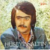HÜSEYİN ALTIN DİVANE 1978 LP.