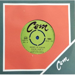 BEKİR SITKI SEZGİN NEDEN BU KADAR ZALİM OLDUN  (Gazel) ~ GELMEDİN BİR KERRE GÜZELİM