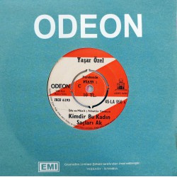 YAŞAR ÖZEL KİMDİR BU KADIN SAÇLARI AK ~ DÖNDÜM DÖNDÜM  (MEVLANA)