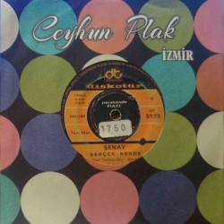 ŞENAY GERÇEK NERDE ~  BEYAZ ÜLKE