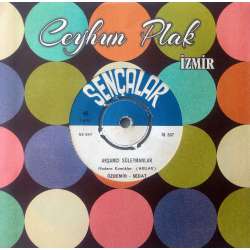 MODERN KOMİKLER ARILAR ÖZDEMİR SEDAT AKŞAMCI SÜLEYMANLAR  İKİ KAFADARIN ÇİLESİ KOMİK 