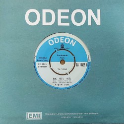 YAŞAR ÖZEL BAK YEŞİL YEŞİL ~ BİR DÜNYA YARATTIM