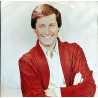 AHMET ÖZHAN GÜNEŞİN BATTIĞI YERDE 1981 LP.
