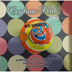 NEŞE KARABÖCEK KOCA DÜNYA - ATSAN ATILMAZ SATSAN SATILMAZ