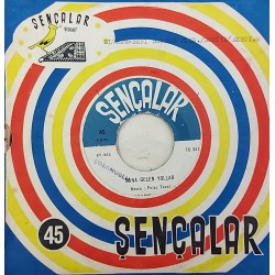 BEHİYE AKSOY SANA GELEN YOLLAR ~ BENİ BENDEN ALAN (Elveda)