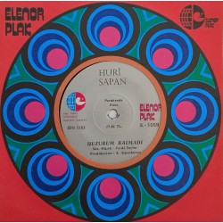 HURİ SAPAN HUZURUM KALMADI ~ DERTSİZ OLSAM İÇERMİYİM