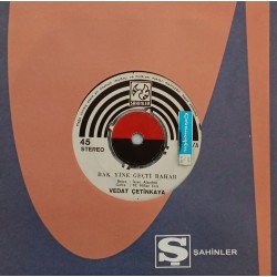 VEDAT ÇETİNKAYA BAK YİNE GEÇTİ BAHAR ~  YALVARIRIM ÜZME BENİ