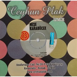 NEŞE KARABÖCEK İNTİZAR ~ KARLI BİR KIŞ GÜNÜ