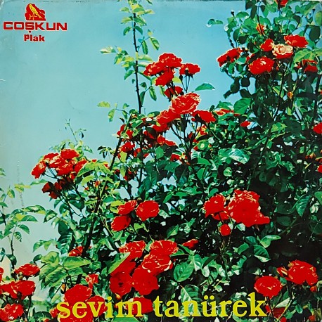 SEVİM TANÜREK 1974 LP.