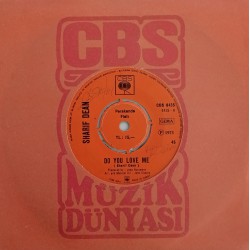 SHARIF DEAN DO YOU LOVE ME ~ IN THE SUMMER HOLIDAYS