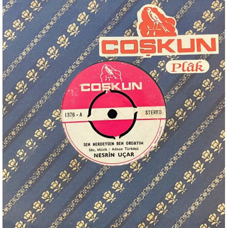 NESRİN UÇAR SEN NEREDEYSEN BEN ORADAYIM - SEN DEĞİL MİSİN