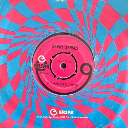 ŞENAY SENSES ŞU SAZIMA BİR DÜZEN VER - BİTMEZ TÜKENMEZ GECELER