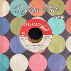 NEVİN AKCAN NE HALLERE DÜŞTÜM - KOVDUN KAPIDAN