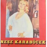 NEŞE KARABÖCEK DELİ GİBİ SEVDİM - GÖZYAŞI YALAN SÖYLEMEZ