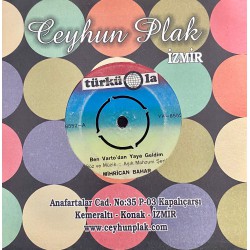 MİHRİCAN BAHAR BEN VARTO'DAN YAYA GELDİM - GÜL DALINA KONMUŞ BÜLBÜL YAVRUSU