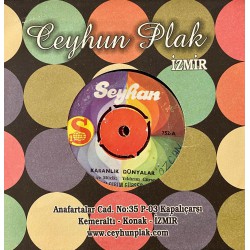 YILDIRIM GÜRSES KARANLIK DÜNYALAR - BENİ SEVDİĞİNİ KUŞLAR SÖYLEDİ