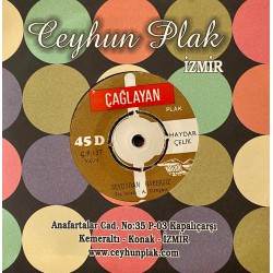 HAYDAR ÇELİK SEVDADAN HABERSİZ - GURBETTE AKŞAM