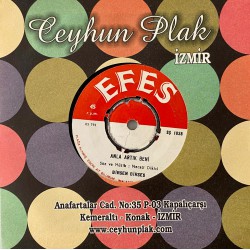 BİRSEN BİRSES ANLA ARTIK BENİ - PİŞMANMISIN SEVGİLİM