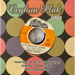 NEFİSE ÖZDEMİR HEM ACIMSIN HEM TACIMSIN - DARGIN İSEN BARIŞALIM