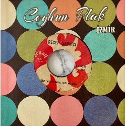 RECEP ŞARKICI EVLERİN ÖNÜ TAŞTAN - SÖZ VERDİNDE GELMEDİN