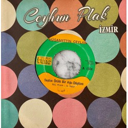 HÜSAMETTİN CEYLAN SAÇTAN ÖRÜLÜ BİR AĞA DÜŞTÜM - KAŞIN GÖZÜN KARADIR