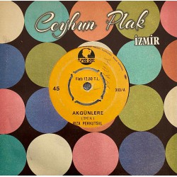 RIZA PEKKUTSAL AKGÜNLERE - İLAHİ NECMETTİN