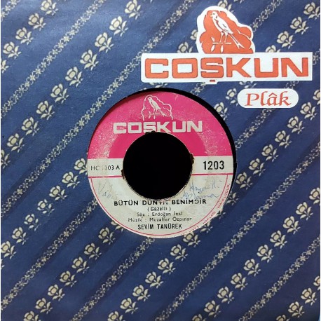 SEVİM TANÜREK BÜTÜN DÜNYA BENİMDİR - KADERİM