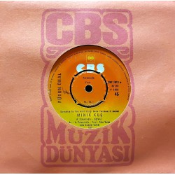 FÜSUN ÖNAL MİNİK KUŞ - AH NEREDE