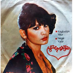 SEZEN AKSU KAYBOLAN YILLAR - NEYE YARAR