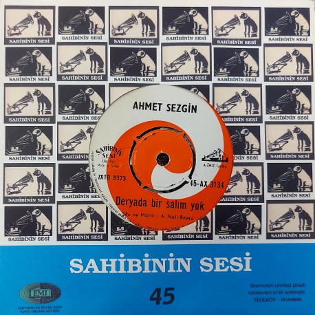 AHMET SEZGİN DERYADA BİR SALIM YOK ~ ÇALI KUŞU