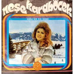 NEŞE KARABÖCEK İNTİZAR ~ KARLI BİR KIŞ GÜNÜ