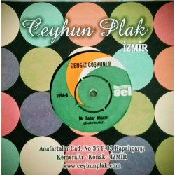 CENGİZ COŞKUNER BİR BAHAR AKŞAMI - İZMİRLİM