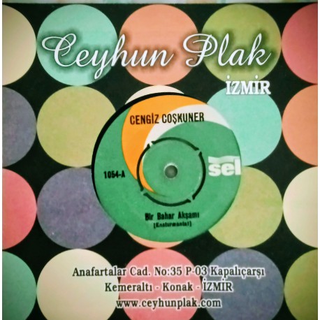 CENGİZ COŞKUNER BİR BAHAR AKŞAMI - İZMİRLİM