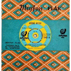 HÜDAİ AKSU DERDİMİ DEŞME MEYHANECİ ~ GÖZLERİN HAYRAN BAKARMIŞ