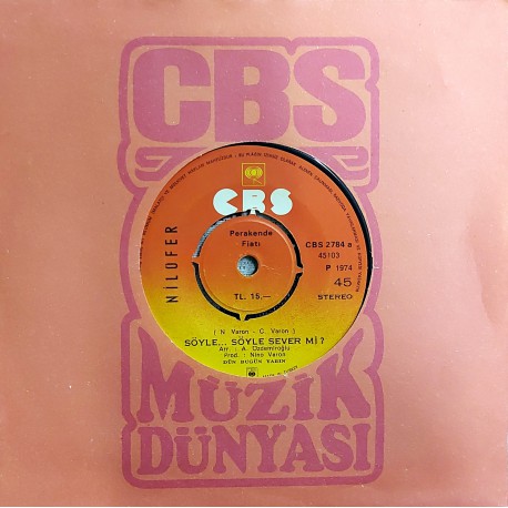 NİLÜFER SÖYLE SÖYLE SEVER Mİ ~ BAŞIMA GELENLER